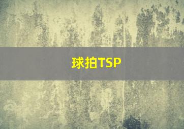 球拍TSP