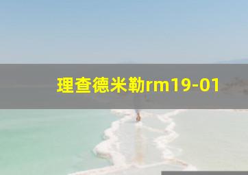 理查德米勒rm19-01