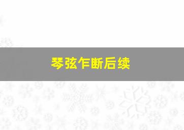 琴弦乍断后续