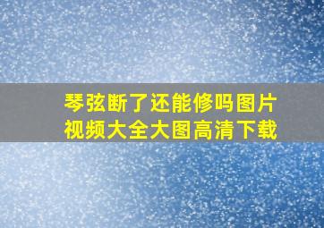 琴弦断了还能修吗图片视频大全大图高清下载