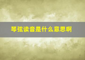 琴弦读音是什么意思啊