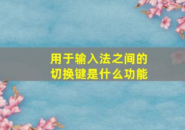 用于输入法之间的切换键是什么功能