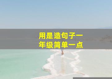 用是造句子一年级简单一点