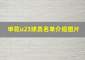 申花u23球员名单介绍图片