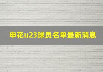 申花u23球员名单最新消息