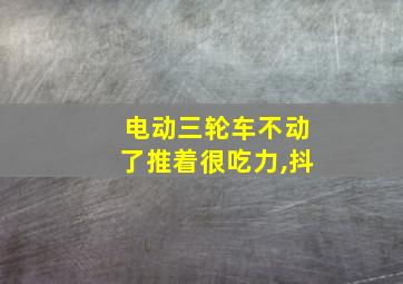 电动三轮车不动了推着很吃力,抖