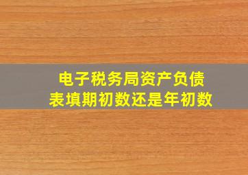 电子税务局资产负债表填期初数还是年初数