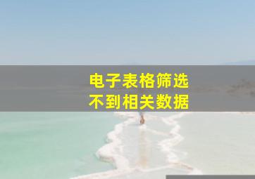 电子表格筛选不到相关数据