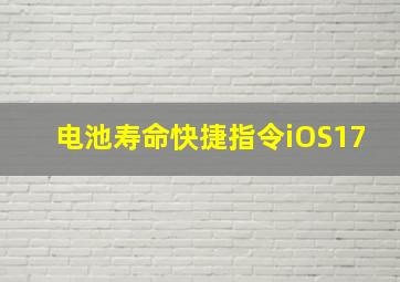 电池寿命快捷指令iOS17