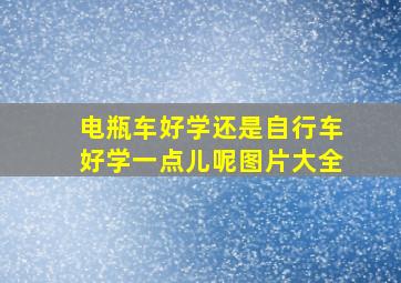 电瓶车好学还是自行车好学一点儿呢图片大全