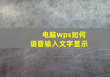 电脑wps如何语音输入文字显示