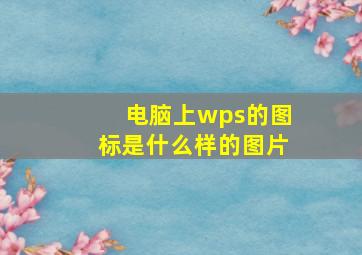 电脑上wps的图标是什么样的图片