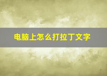 电脑上怎么打拉丁文字