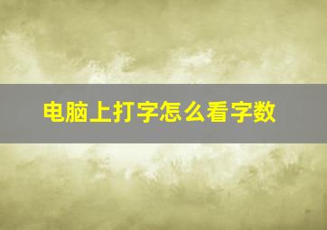 电脑上打字怎么看字数