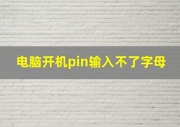 电脑开机pin输入不了字母