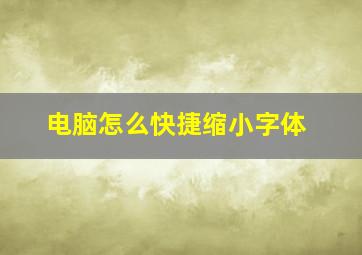 电脑怎么快捷缩小字体