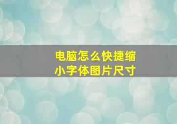 电脑怎么快捷缩小字体图片尺寸