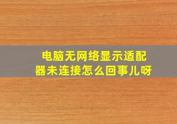 电脑无网络显示适配器未连接怎么回事儿呀