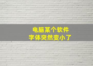 电脑某个软件字体突然变小了