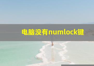 电脑没有numlock键