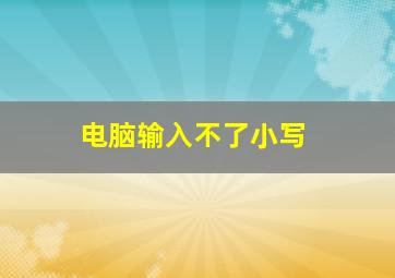 电脑输入不了小写