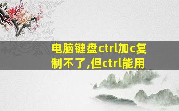 电脑键盘ctrl加c复制不了,但ctrl能用