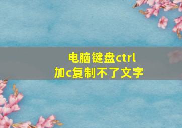 电脑键盘ctrl加c复制不了文字