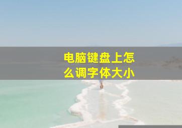 电脑键盘上怎么调字体大小