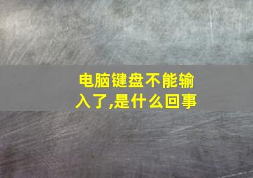 电脑键盘不能输入了,是什么回事