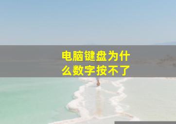 电脑键盘为什么数字按不了