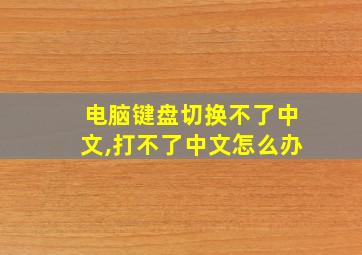 电脑键盘切换不了中文,打不了中文怎么办