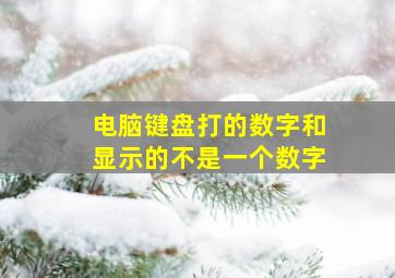 电脑键盘打的数字和显示的不是一个数字