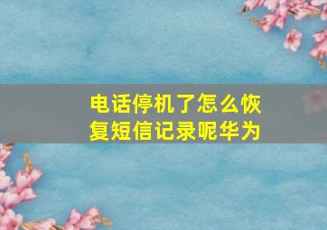 电话停机了怎么恢复短信记录呢华为