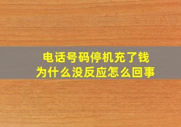 电话号码停机充了钱为什么没反应怎么回事