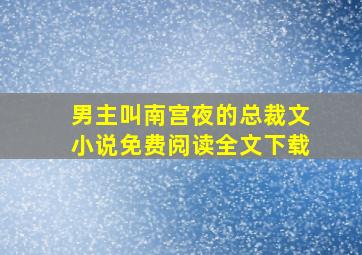 男主叫南宫夜的总裁文小说免费阅读全文下载