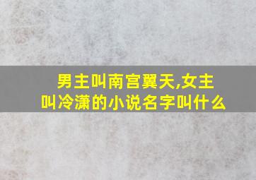 男主叫南宫翼天,女主叫冷潇的小说名字叫什么