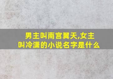 男主叫南宫翼天,女主叫冷潇的小说名字是什么