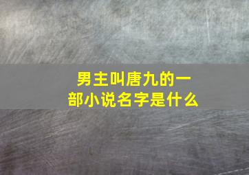 男主叫唐九的一部小说名字是什么