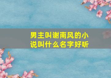 男主叫谢南风的小说叫什么名字好听