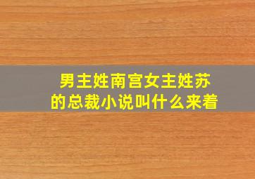 男主姓南宫女主姓苏的总裁小说叫什么来着