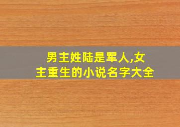 男主姓陆是军人,女主重生的小说名字大全