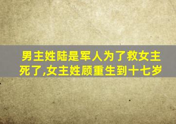 男主姓陆是军人为了救女主死了,女主姓顾重生到十七岁