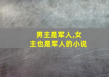 男主是军人,女主也是军人的小说