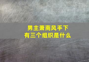 男主萧南风手下有三个组织是什么