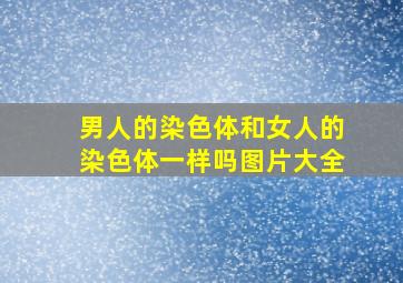 男人的染色体和女人的染色体一样吗图片大全