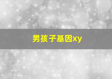 男孩子基因xy