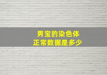 男宝的染色体正常数据是多少