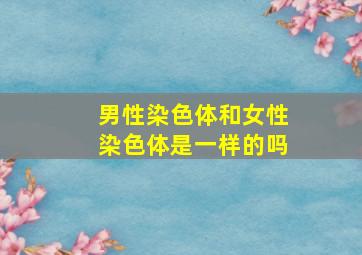 男性染色体和女性染色体是一样的吗