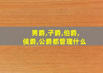 男爵,子爵,伯爵,侯爵,公爵都管理什么