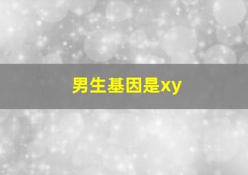 男生基因是xy